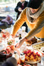 Building Community Through Olive Oil