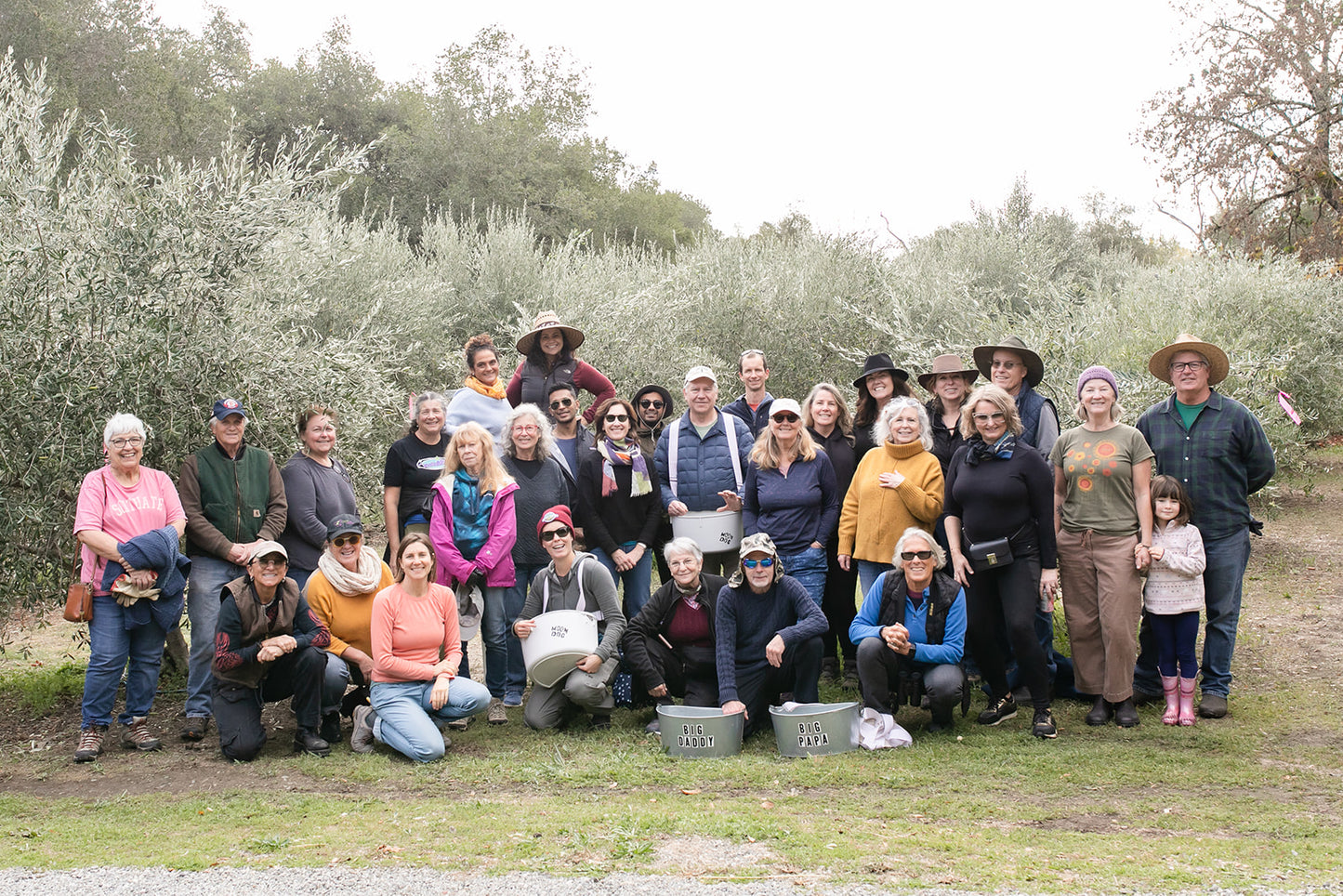 2024 Olio Nuovo - New Harvest Olive Oil