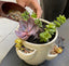 Rooted in Love: Handmade Succulent Planters for Mother's Day