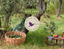 Olive This Olive That Gift Card